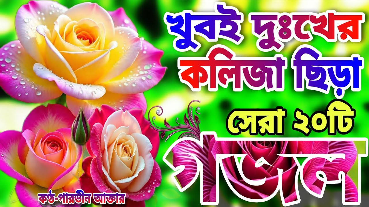 খুবই দুঃখের কবরের শেষ বিদায়ের মায়াবী কন্ঠে মনপ্রাণ জুড়ানো সেরা ১০টি গজল।কোনদিন জানি মরিয়া যাইমু গো