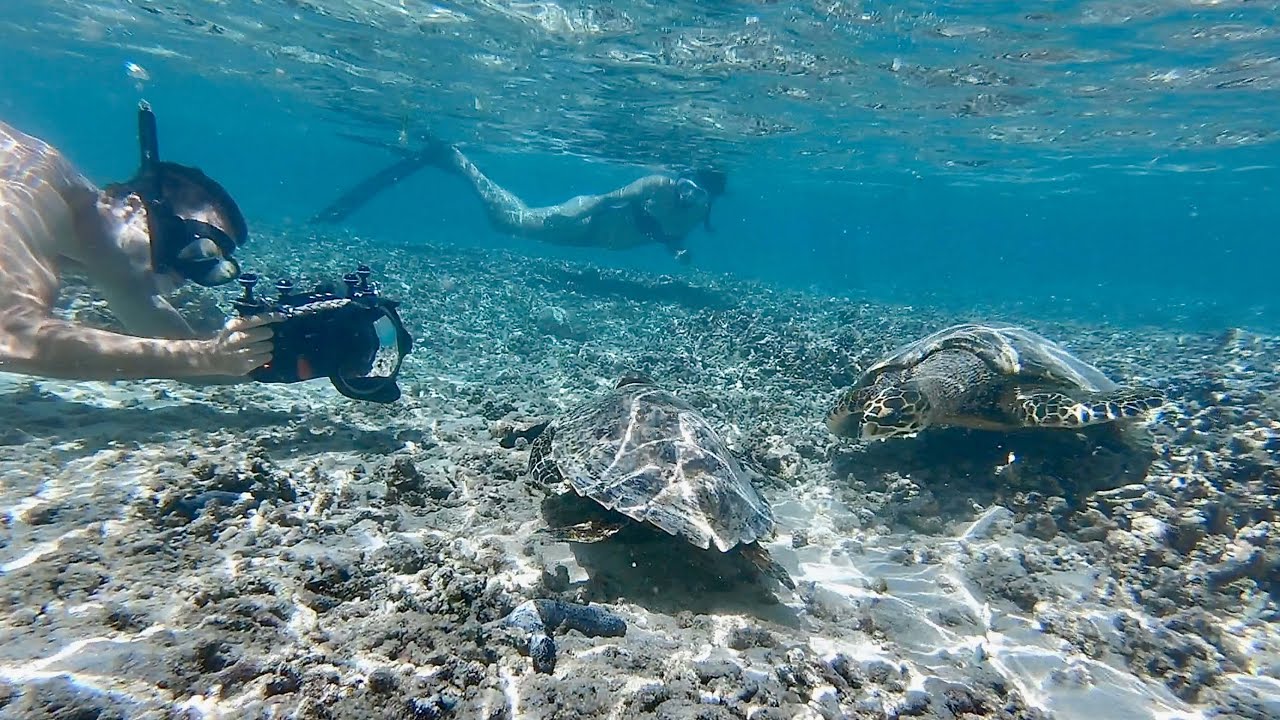 Snorkeling in Réunion Island