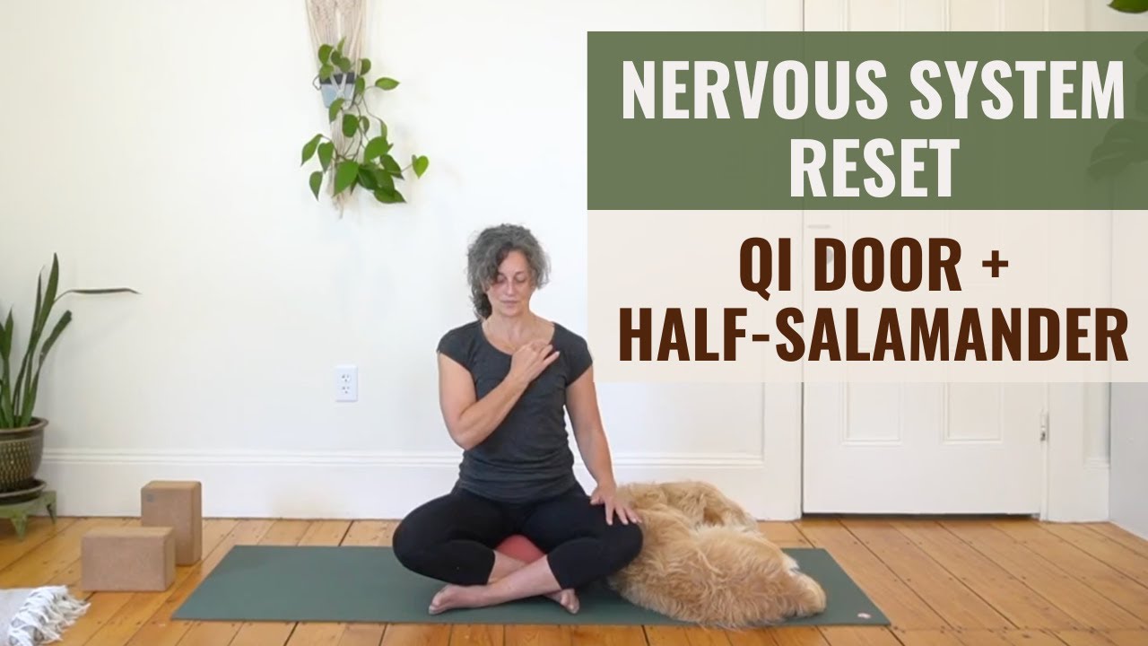 Nervous System Reset | Qi Door + Half Salamander