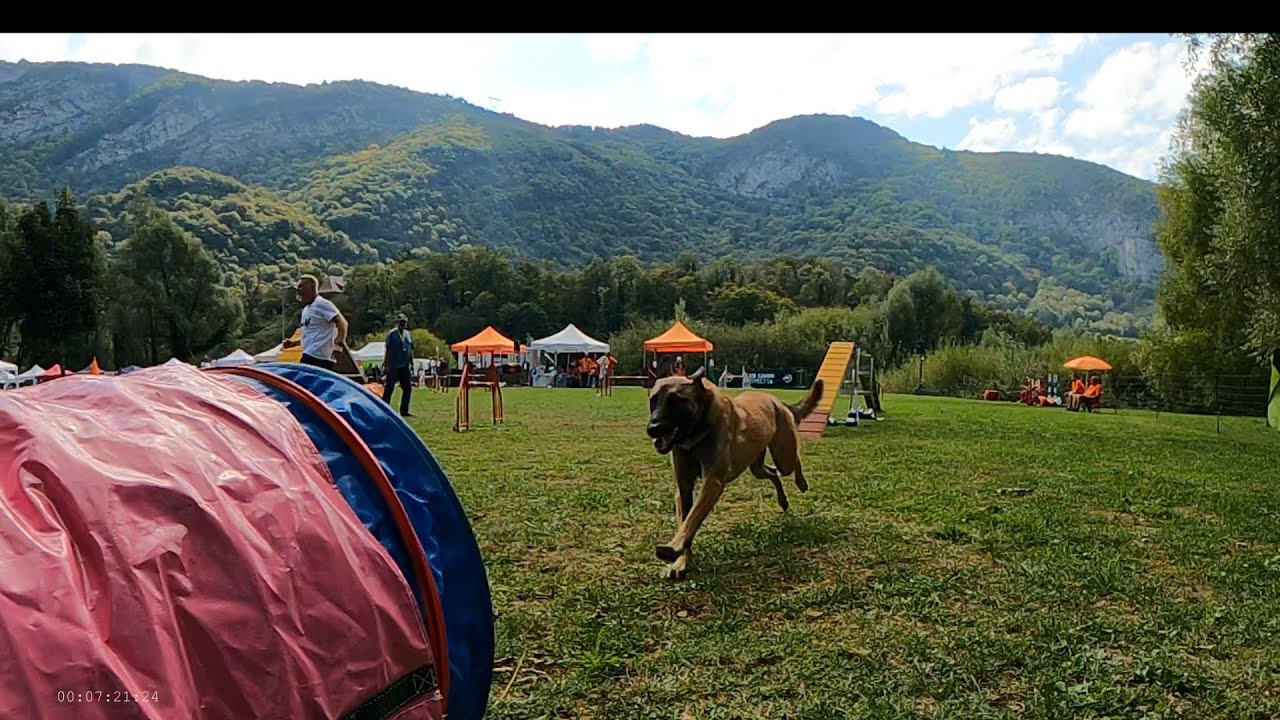 fête du chien le samedi 21 septembre 2024 à Thoirette