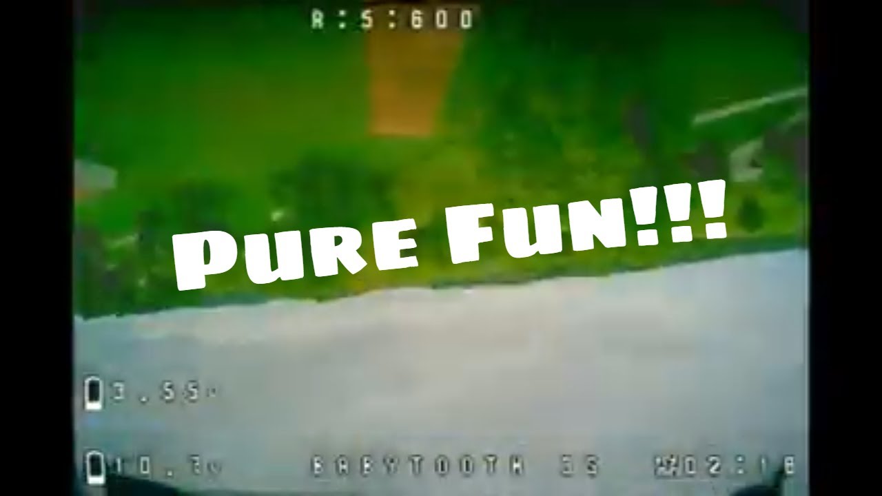 100 Grams Worth of Pure FUN!! | Babytooth 3s | Toothpick Freestyle
