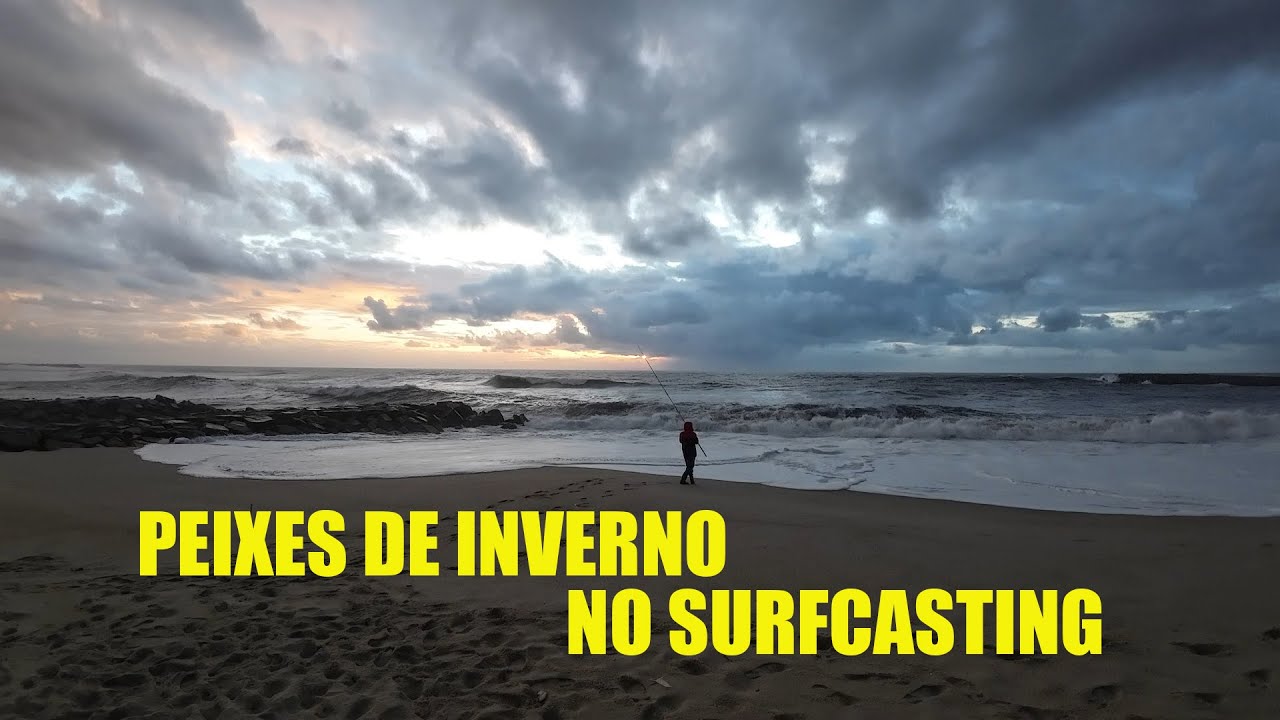 Peixes de Inverno no Surfcasting