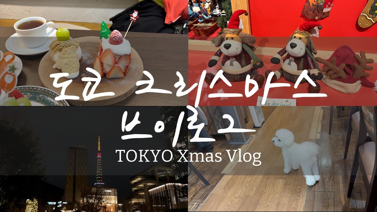 TOKYO Xmas Vlog 도쿄 크리스마스 브이로그 / emi’s Vlog [한/일 자막]