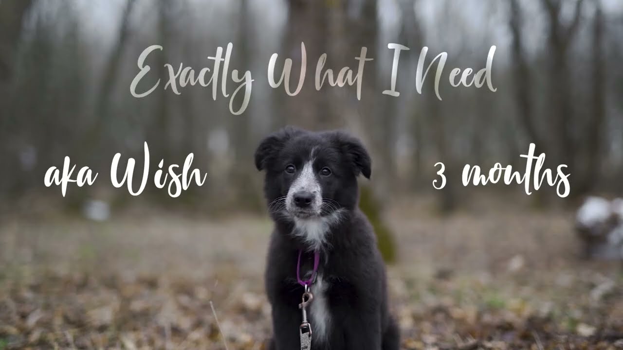 Exactly What I Need aka Wish | 3 months
