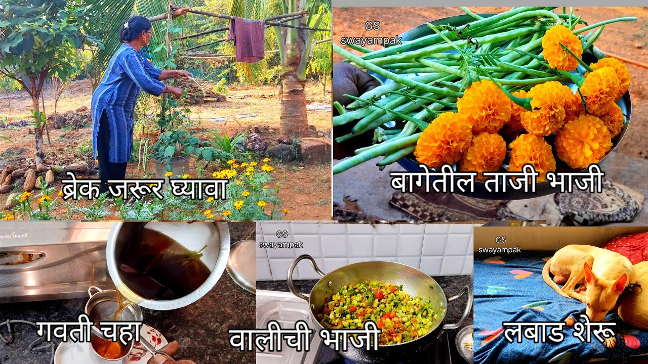 बागेतील ताजी भाजी फुले, गवती चहा#priyapawar #familyvlog #cookingvlog 