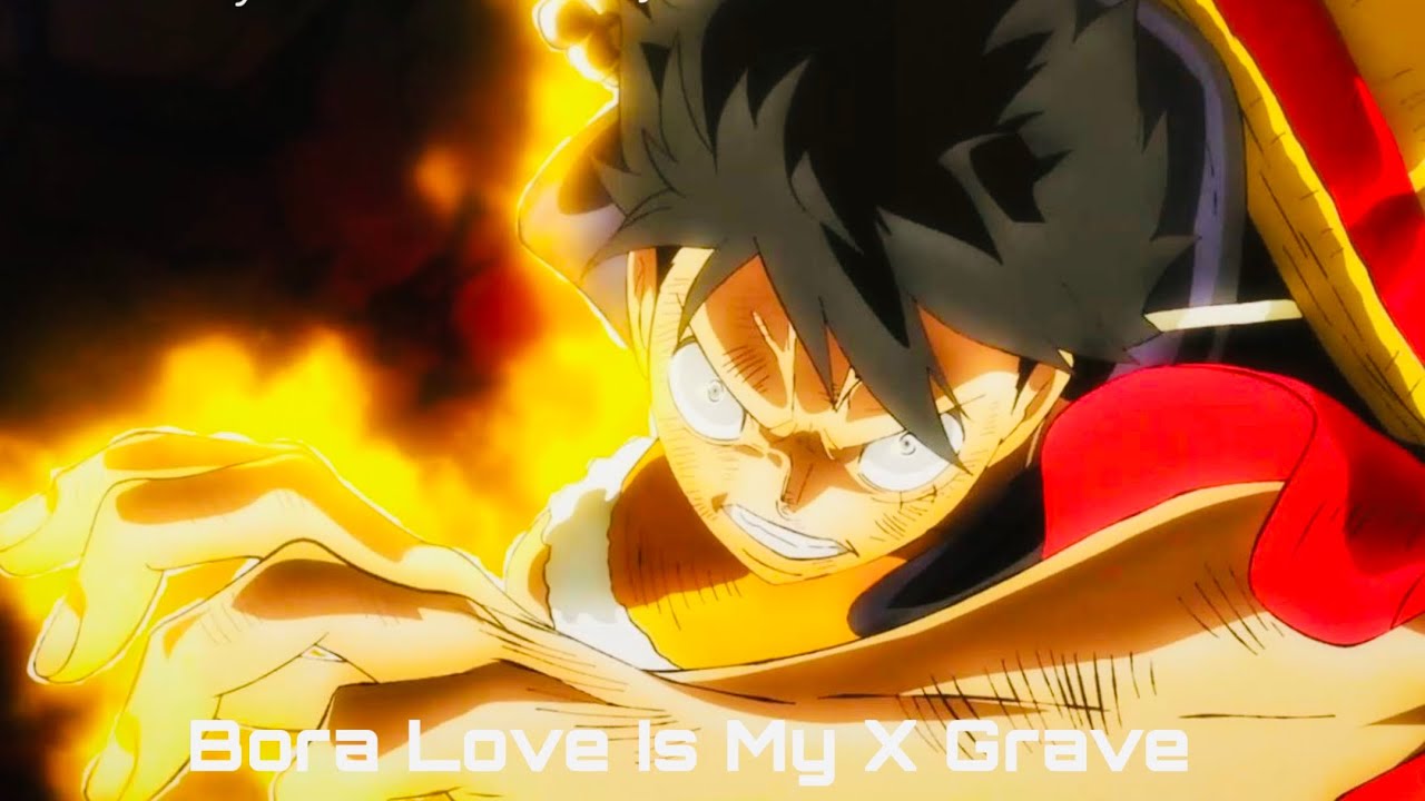 Bora love is my X grave- Luffy edit
