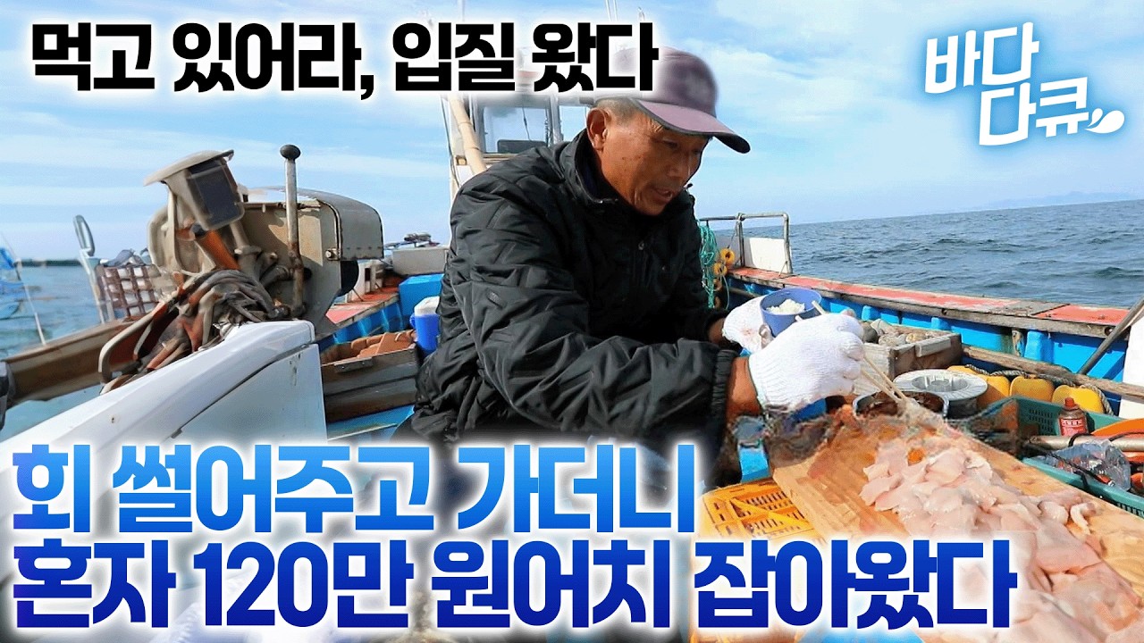 배 내리자마자 다 팔렸다, 1시간 전부터 줄 서서 사는 삼치/ #바다다큐