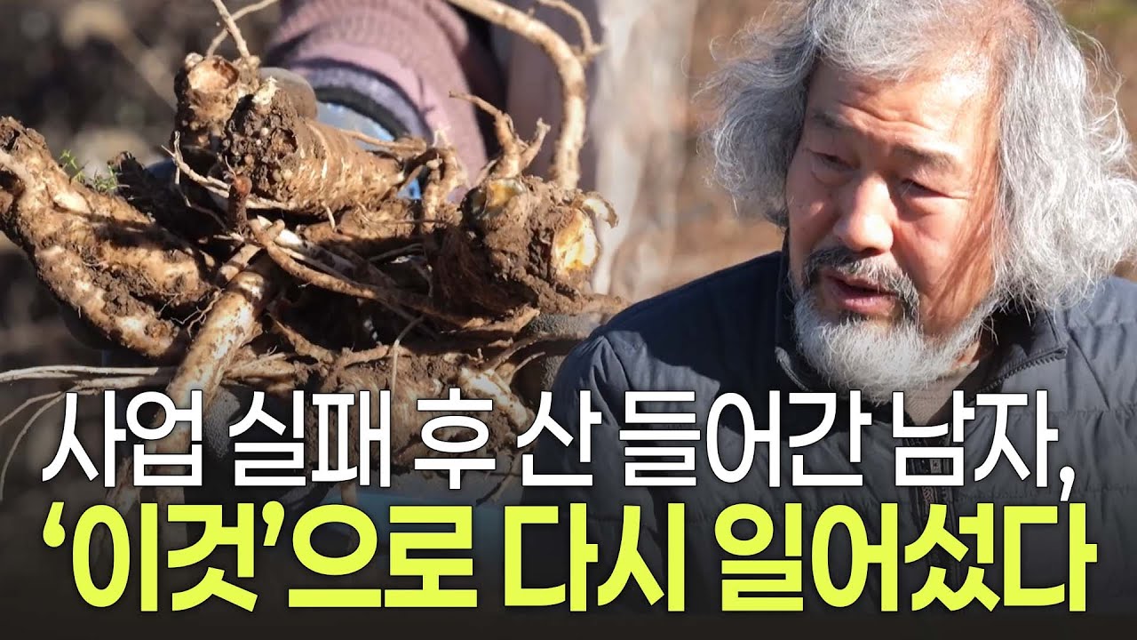 '무주 호무'를 아시나요? 사업 실패 이후 토종 무 키우며 살아가는 약초 농부의 사연 | 화첩기행