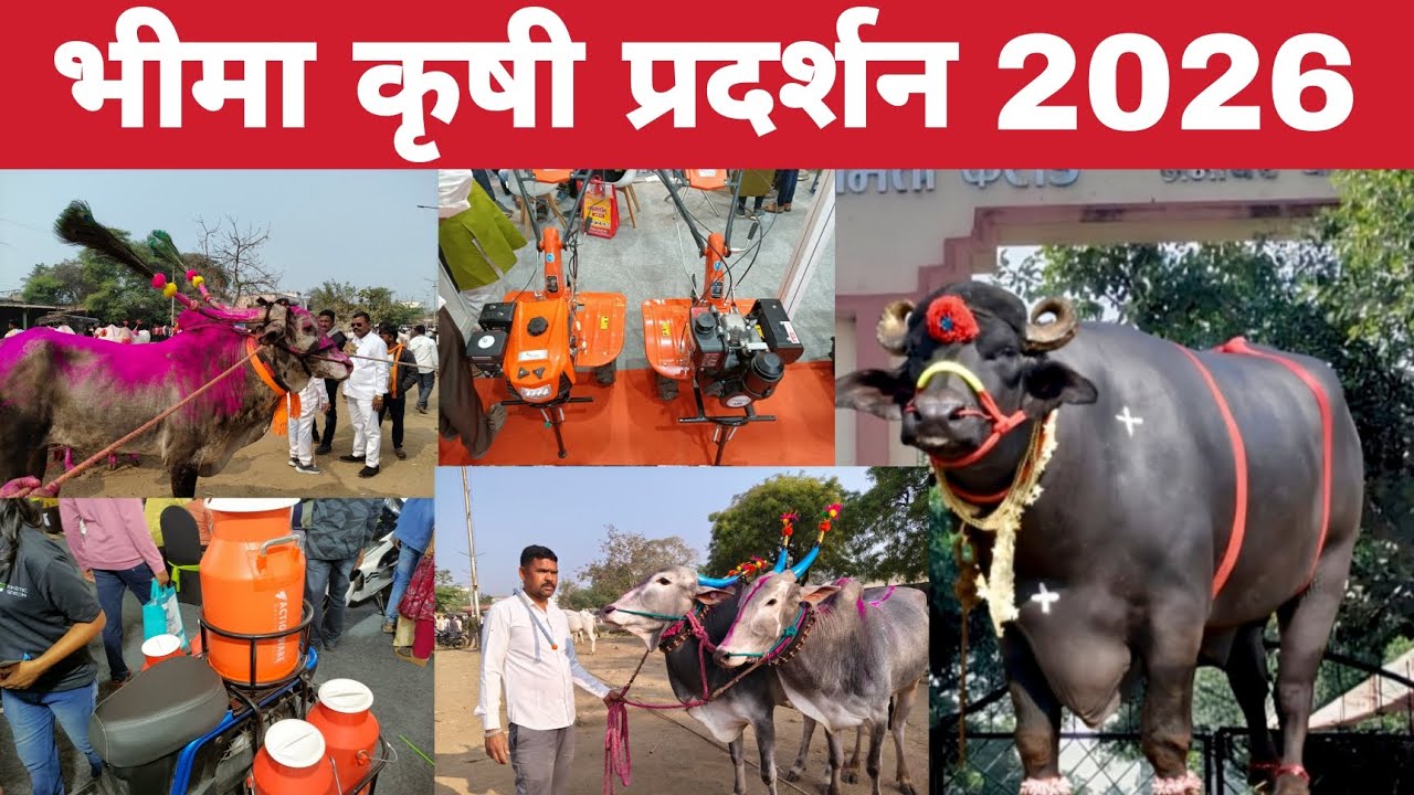 bhima krushi pradarshan kolhapur 2026 | भीमा कृषी प्रदर्शन कोल्हापूर 2026 | krushi pradarshan 