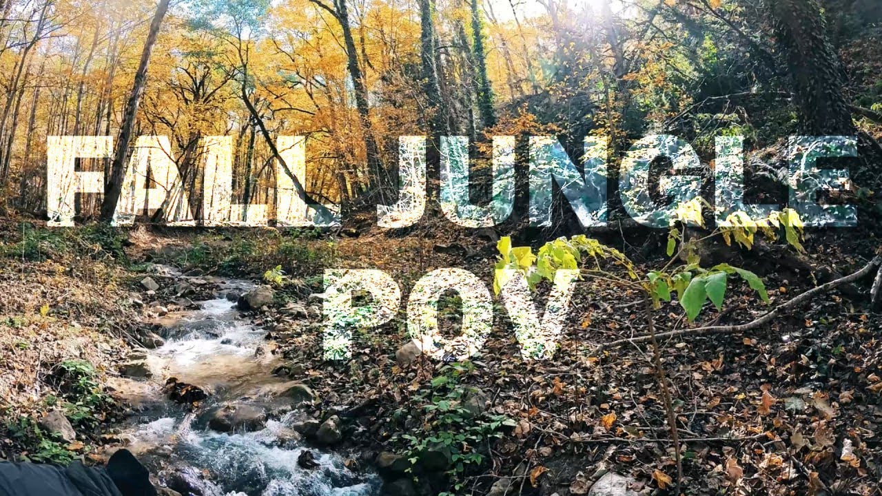 POV Walk | A Fall Day in Tuskestan Forest (IRAN)