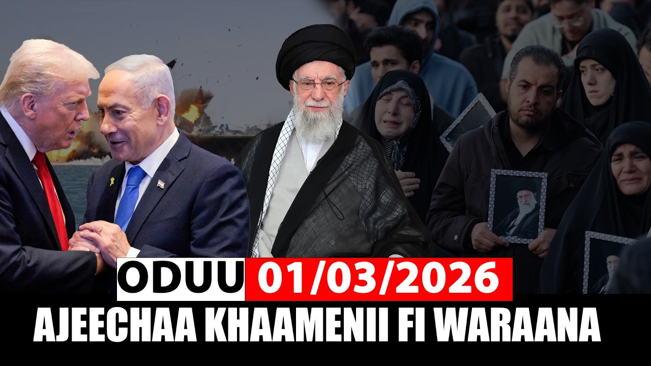 Oduu Dilbata 01/03/2026 | Ajeechaa Ayaatolaahfi miira wal xaxaa | Waraana addaa @A3multimediastudio​