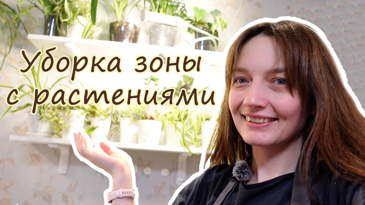 Будни цветовода. Уборка зоны с растениями, цветочные полочки. Пересадки, черенкование. Видео дневник