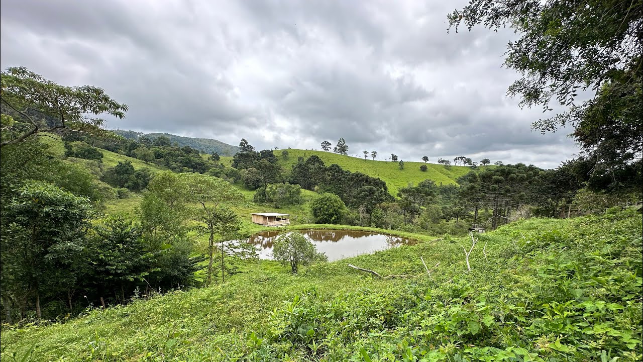 Sítio a venda em Cunha 450 mil
