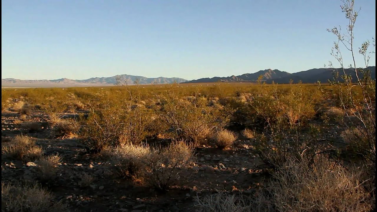 Ivanpah Valley.m2t