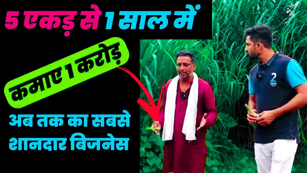 हरा चारा बेचकर कमा रहे करोड़ों सलाना । dairy farming green grass business । New business idea