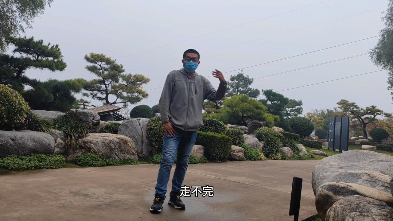 在西安曲江中国唐苑成群的锦鲤，有无数的盆景可赏，来碗酸汤水饺吃美#园林景观 #庭院景观 #花园设计 #随手拍 #中式园林 #盆景 #旅游 #慢生活 #西安美食