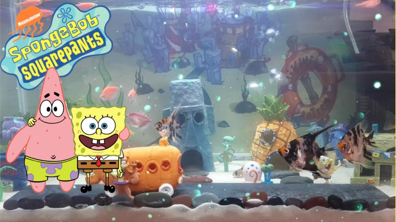 BOB ESPONJA ACUARIO FONDO DE BIKINI, (SPONGEBOB THEMED BIKINI BOTTOM AQUARIUM )