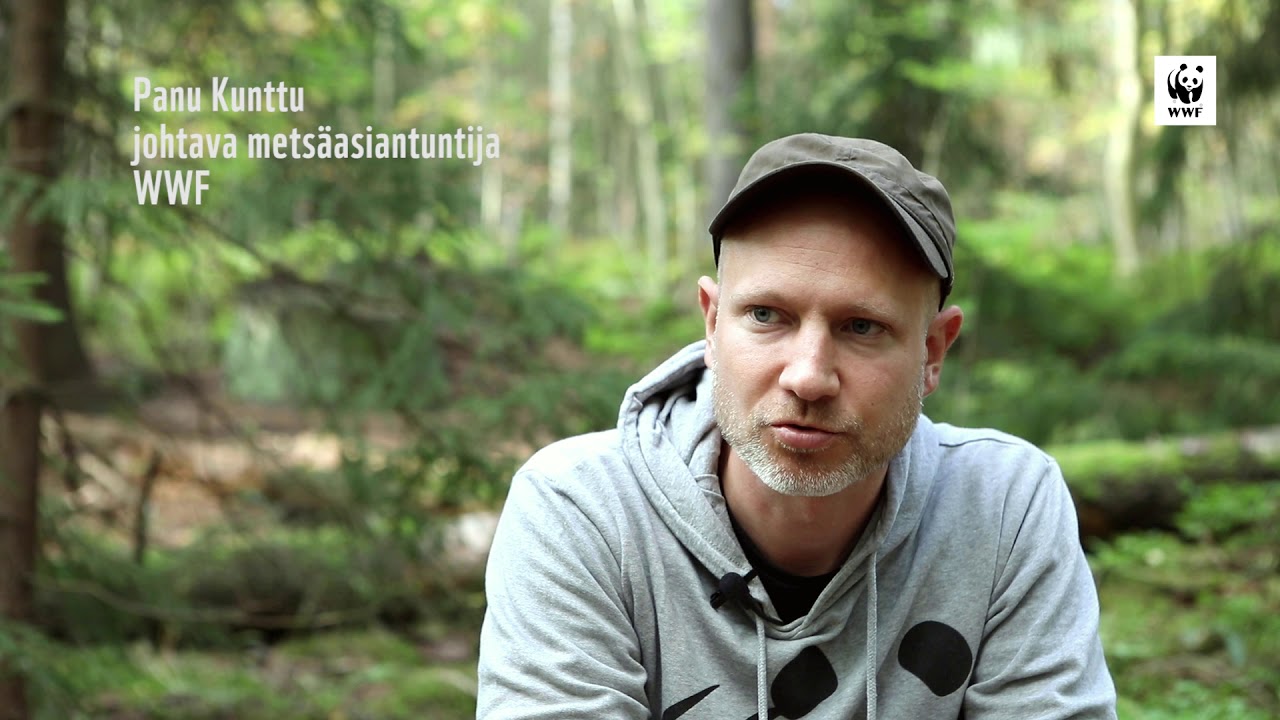 Luonnon monimuotoisuus - mitä se on?