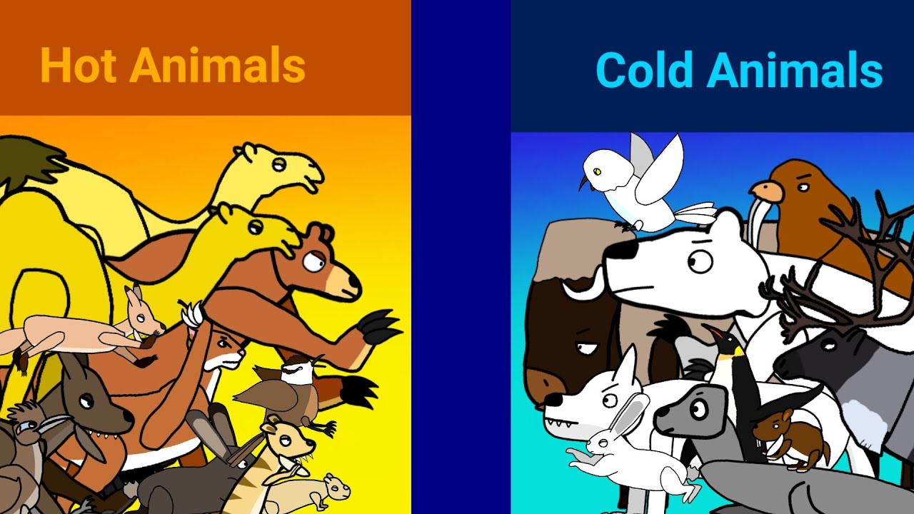 Hot animals vs Cold animals | Animal battle animation.