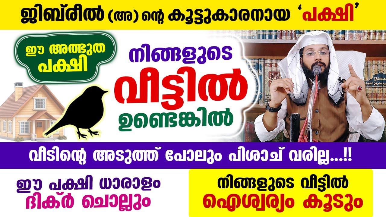 ഈ അത്ഭുത പക്ഷി നിങ്ങളുടെ വീട്ടിൽ ഉണ്ടെങ്കിൽ ഐശ്വര്യം വന്നു ചേരും... പിശാച് എടുക്കില്ല Shafeeq Badri