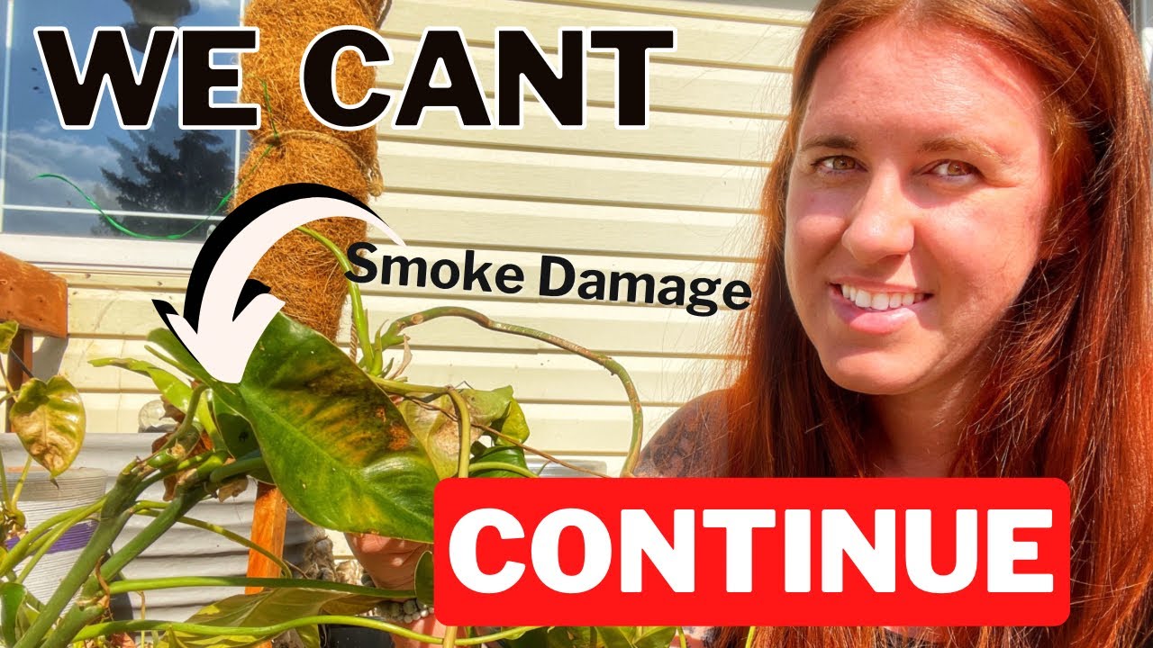 This Smoke Will Cause A Food Crisis&hellip;
