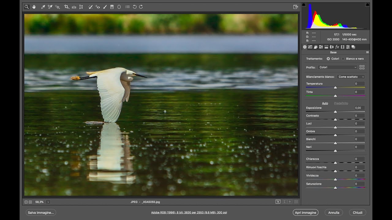 Photoshop - Basi di Camera raw