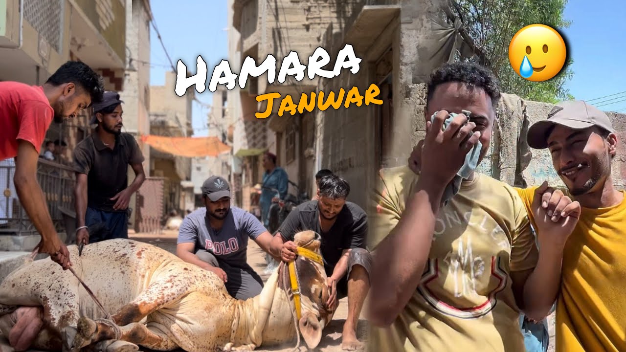 Hamara Janwar Gaya 🥲 || Bakra Eid