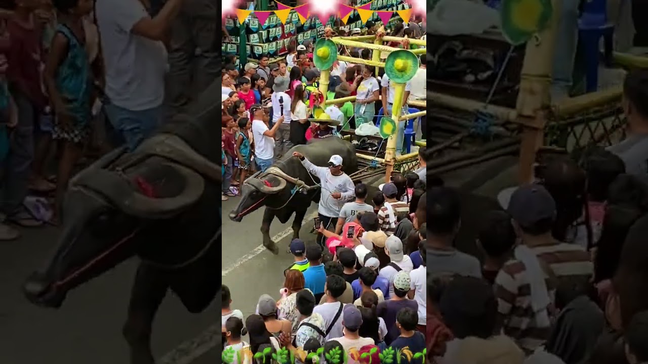 Viva! San Isidro Labrador de Pulilan, Bulacan - Happy Fiesta 2025