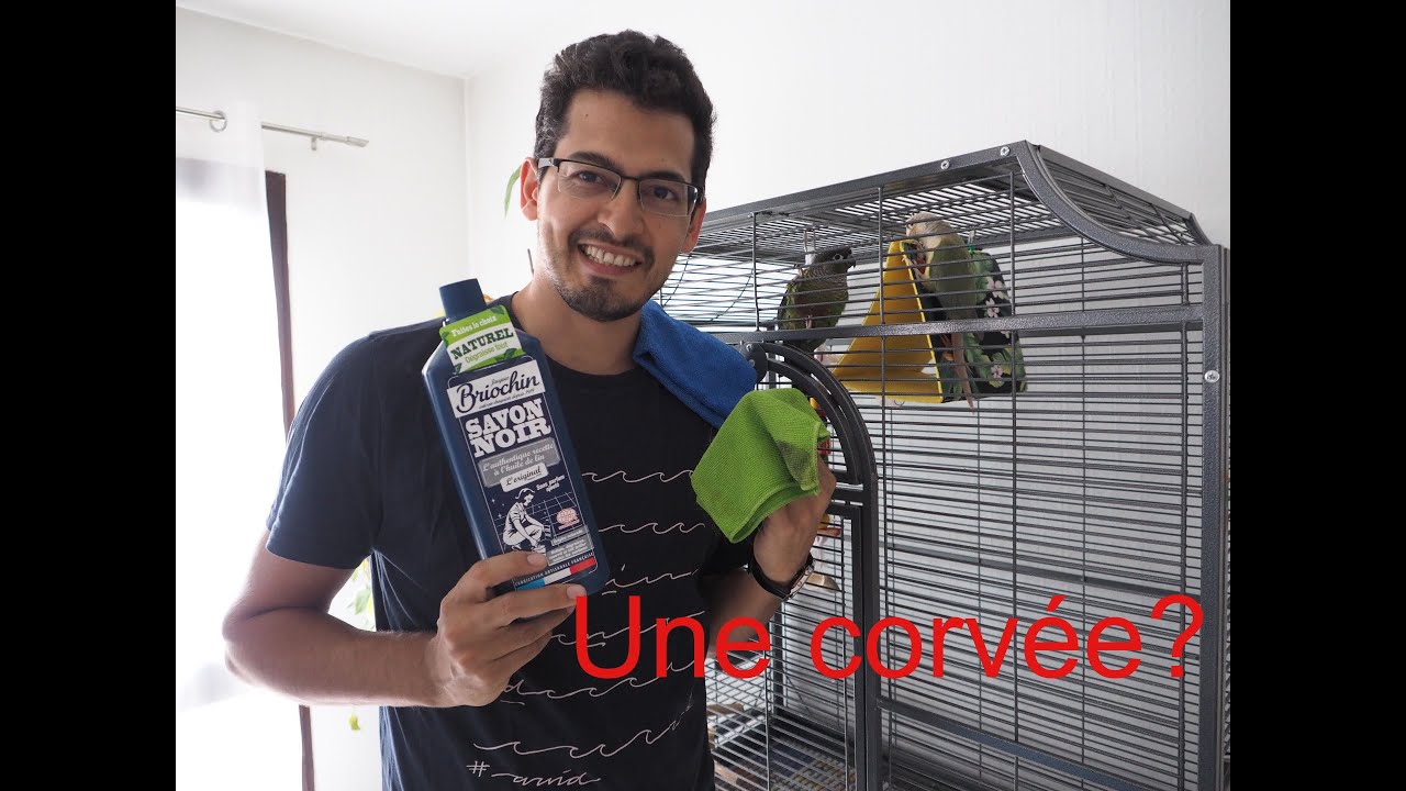 Nettoyer la cage de ses oiseaux!