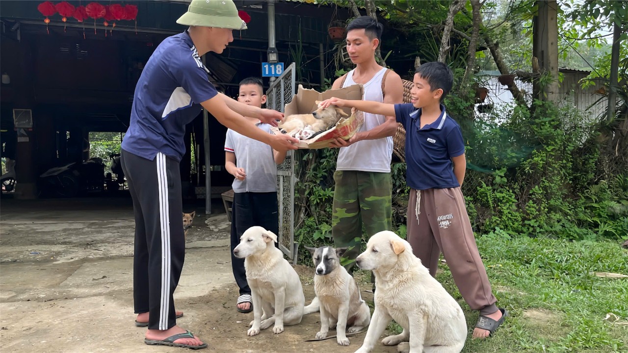 Off-Grid Life With My Dogs | We Found the Owner of the Lost Mother Dog