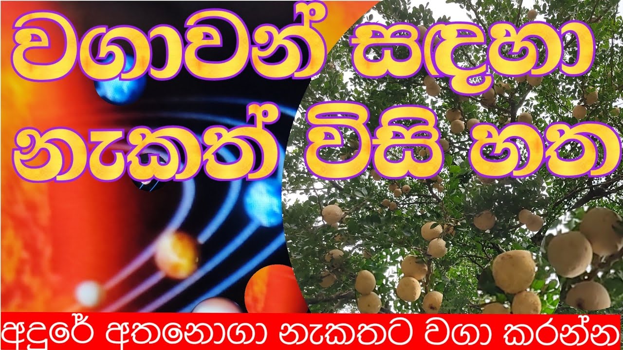සියලුම වගාකටයූතූ සදහා පඤ්චාංග නැකත් විසි හත /nekath visihata