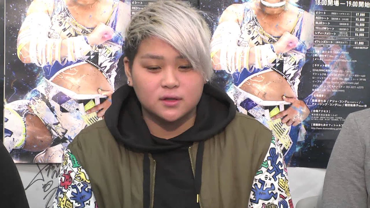 2015 11 12　SEAdLINNNG会見