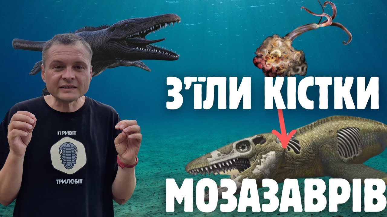 Черв'яки-зомбі Osedaх: як вони їдять кістки? Чи існували вони до появи китів?