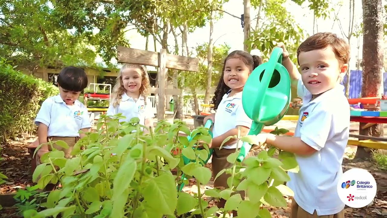 Conoce nuestro Colegio Británico de Cartagena