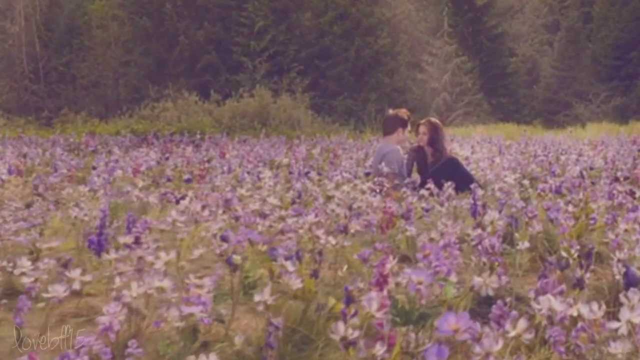 Edward & Bella I do it all because i love you