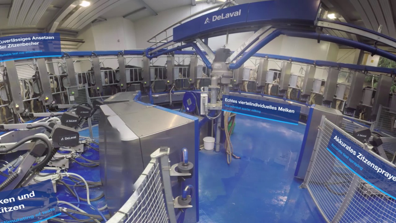 DeLaval 360: Bauernland AG – DeLaval AMR™ Automatisches Melkkarussell