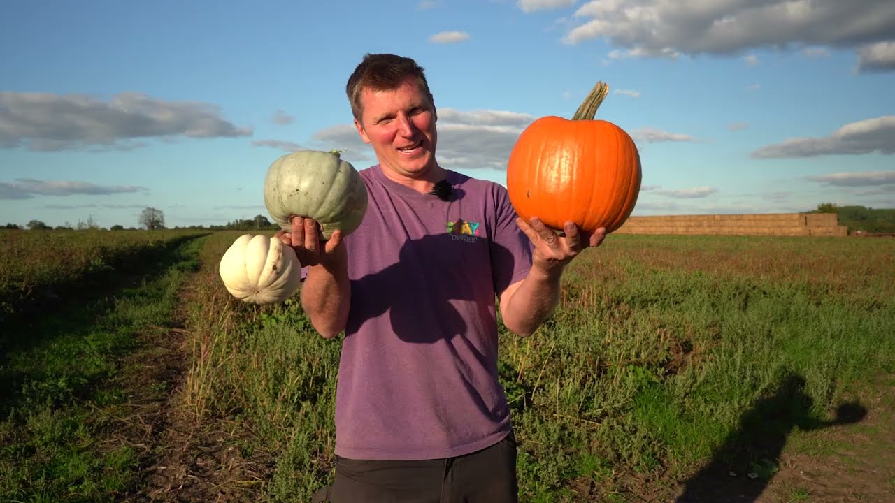 Behind the Scenes: Training Our Pumpkin Patch Team 🎃