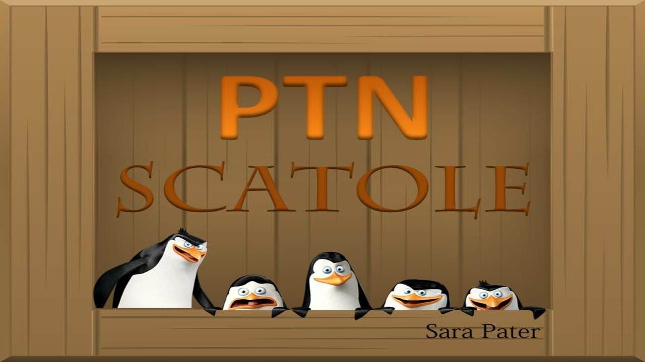 Pinguini Tattici Nucleari - SCATOLE - Story by Sara Pater