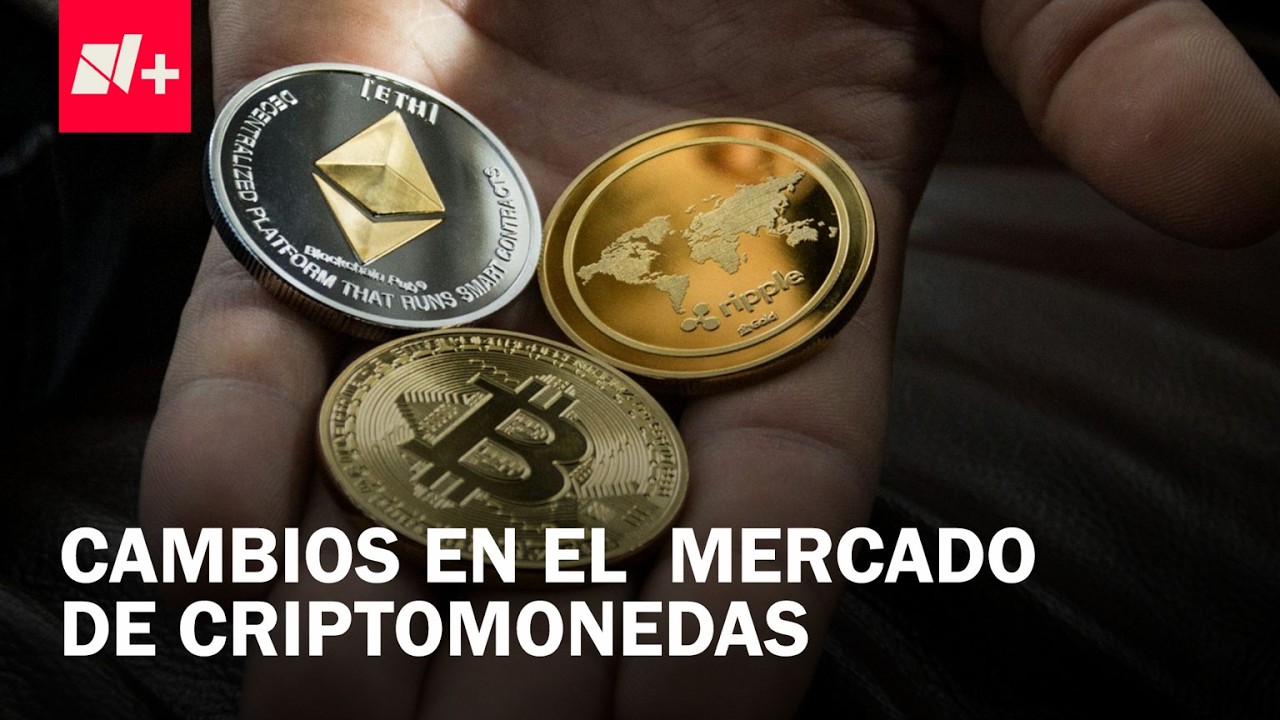 Así Está el Precio del Dólar Hoy, Viernes 13 de Febrero de 2026