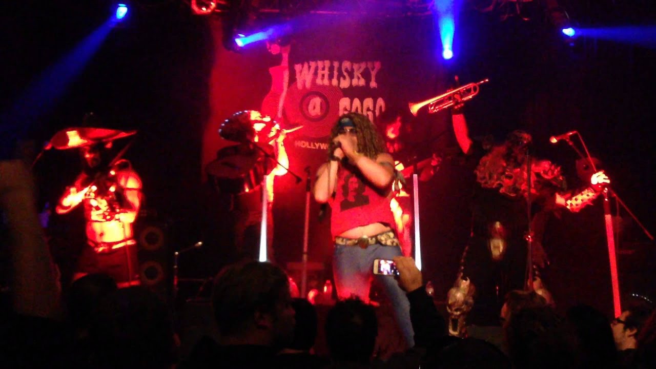 Metalachi - Metallica Mariachi Medley (Master of Puppets/Nothing Else Matters/Enter Sandman)