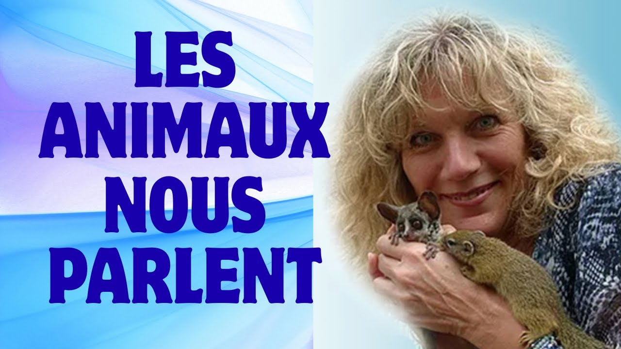 👉 Ce que les animaux disent de l’humanité par Astrid Clavé communicatrice animale en direct du Kenya