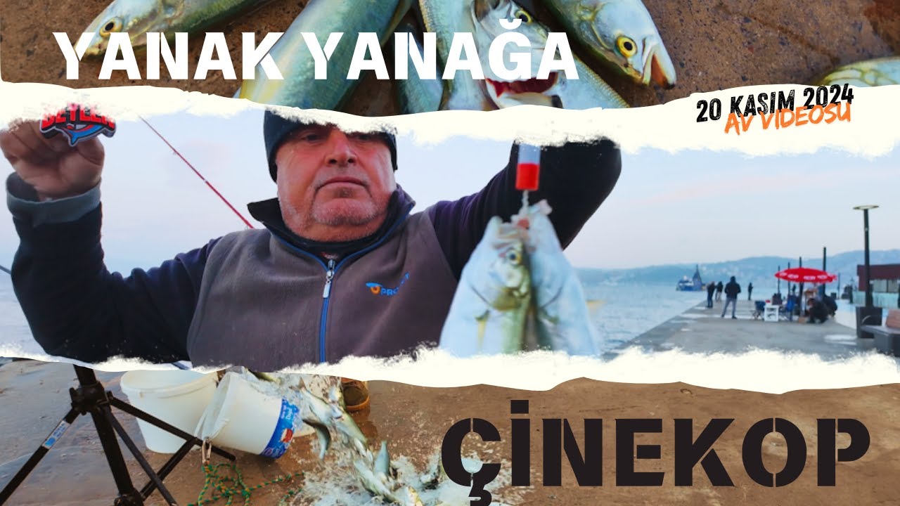 ÇİNEKOP ÇİFT GELDİ KASIM 24 #palamut #çinekop #lüfer #sarıkanat #öneçıkar #istanbul #balıkavı #fish