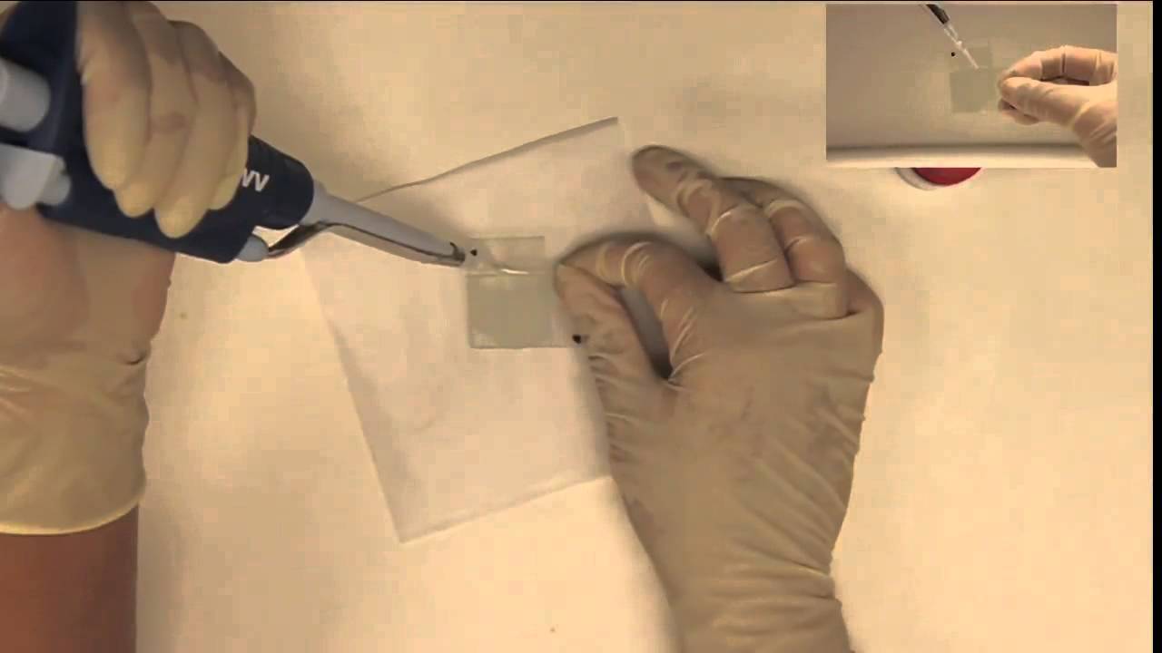 Lab 3: Liquid Crystal Displays