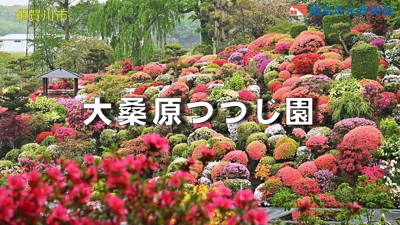大桑原つつじ園