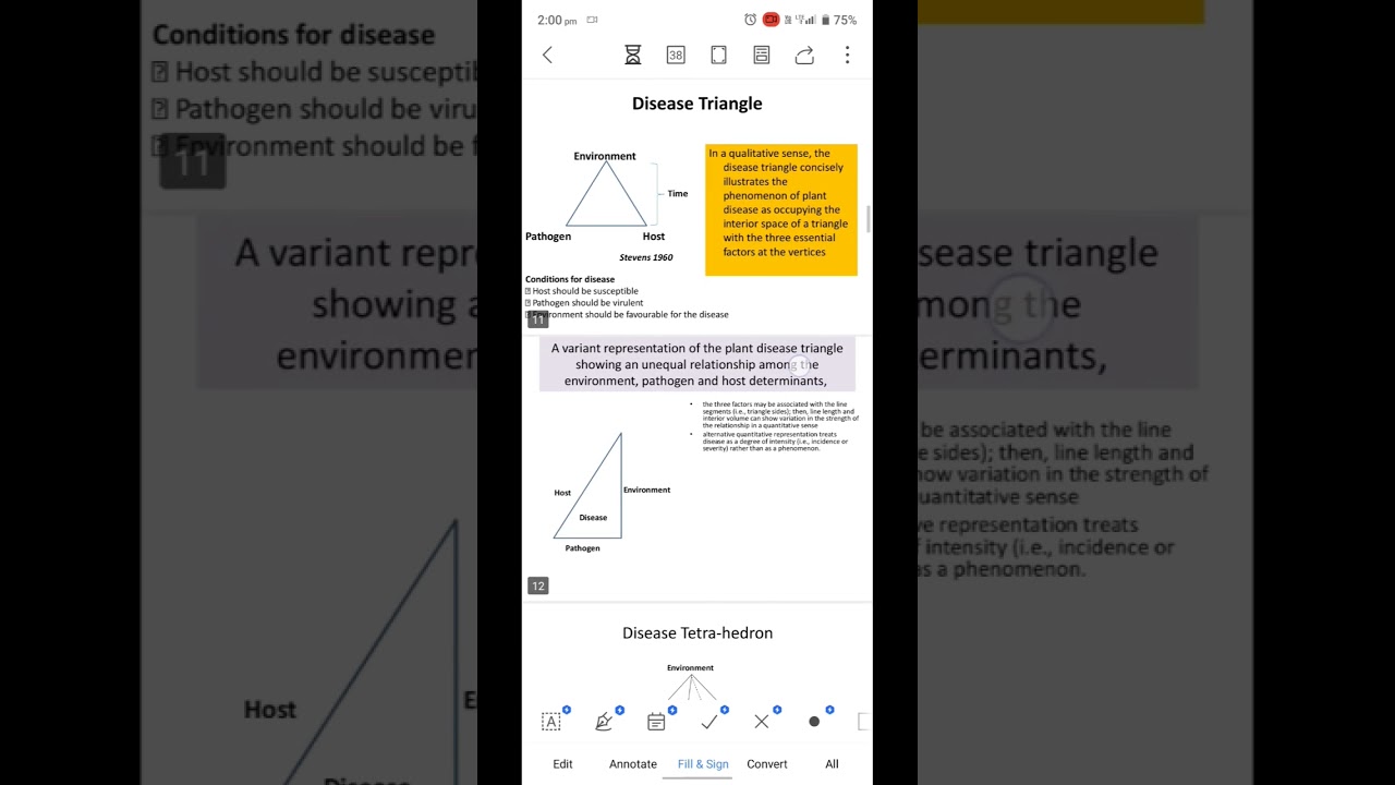 disease triangle