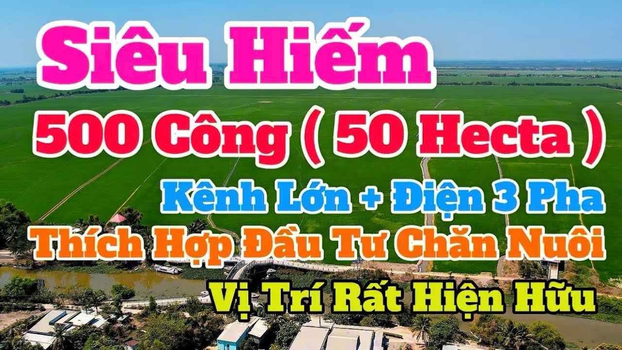 (Số 893) Rất Hiếm👉500 Công (50 Hecta) 4 Mặt Tiền/ Được Mỡ Rộng Lên Đến 1.000 Công LH 0949 394 622 