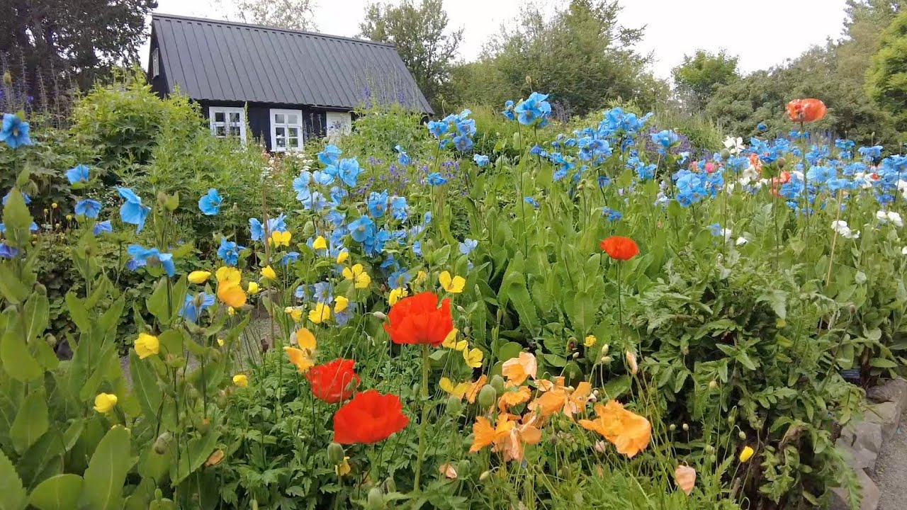 Akureyri, Iceland - Akureyri Botanical Garden (2022)