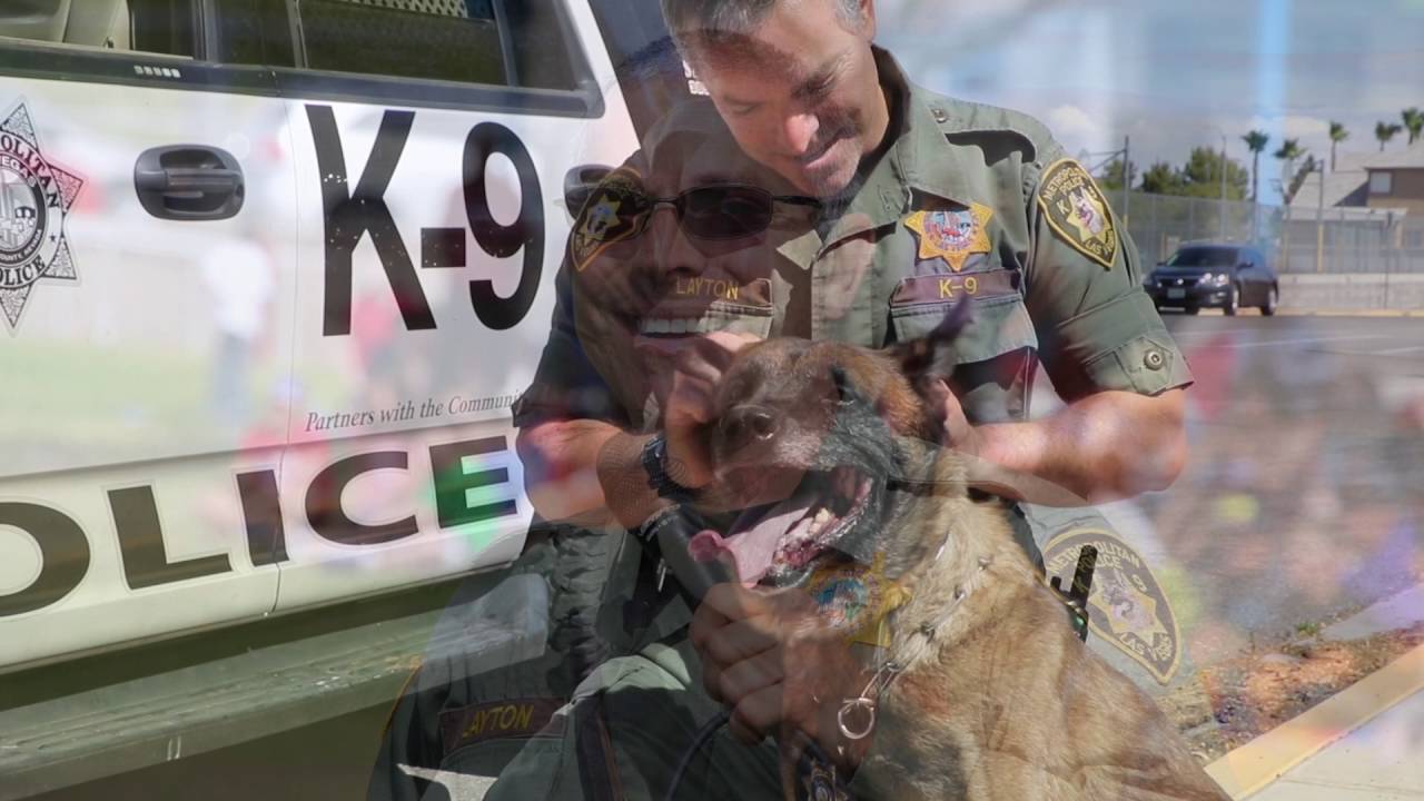R.I.P.  K9 Boris