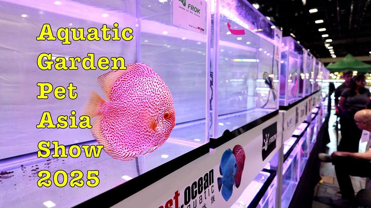 Aquatic Garden Pet Asia Show 2025 (6 - 8 June) #walkingtour #fair #pet #sunteccity #gardening