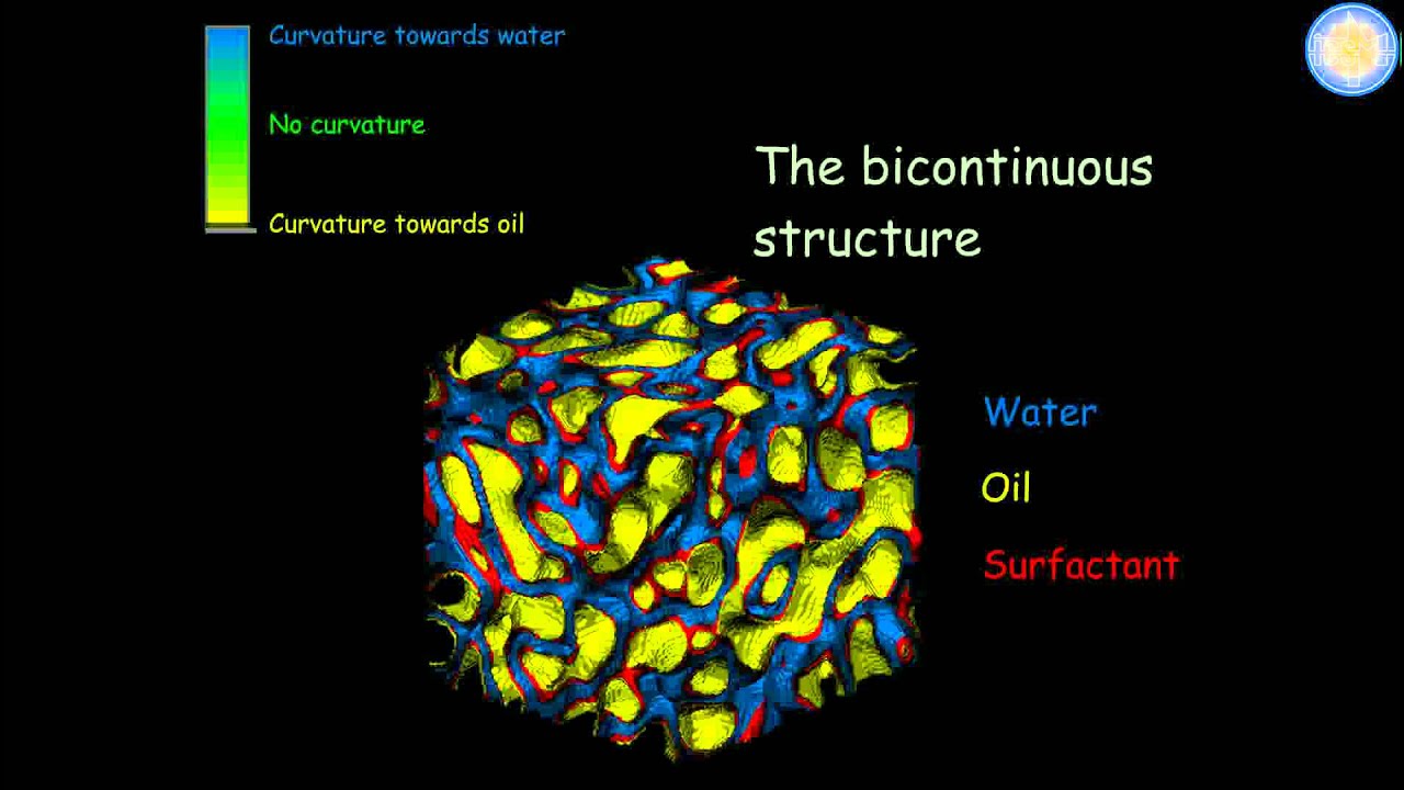 Mesoscopic Modelling of Microemulsions @ ICSM